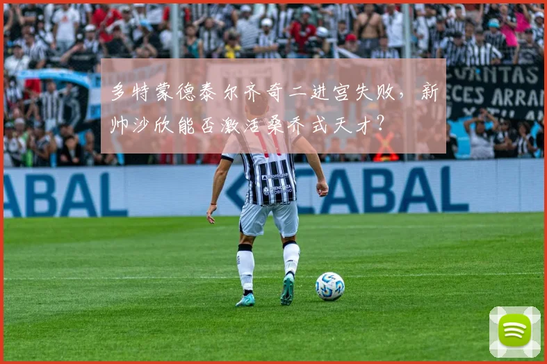 多特蒙德泰尔齐奇二进宫失败,新帅沙欣能否激活桑乔式天才?